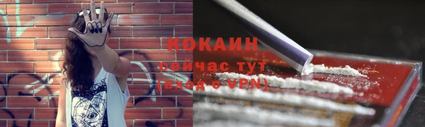 spice Карталы